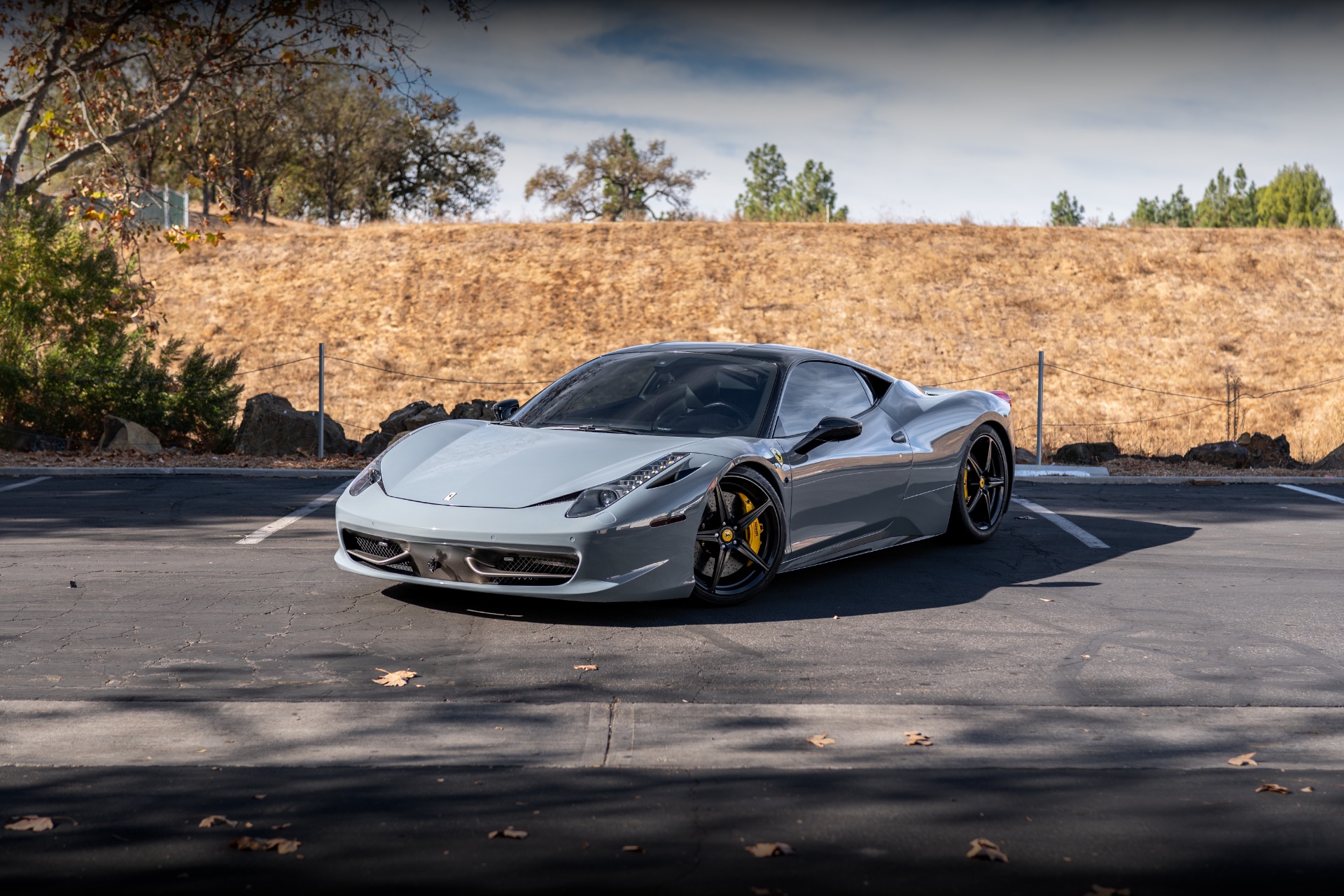 2011 Ferrari 458's photo